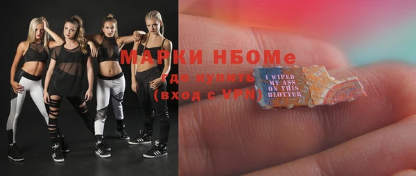 гашик Алзамай