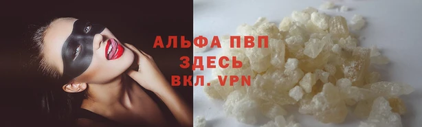 гашик Алзамай