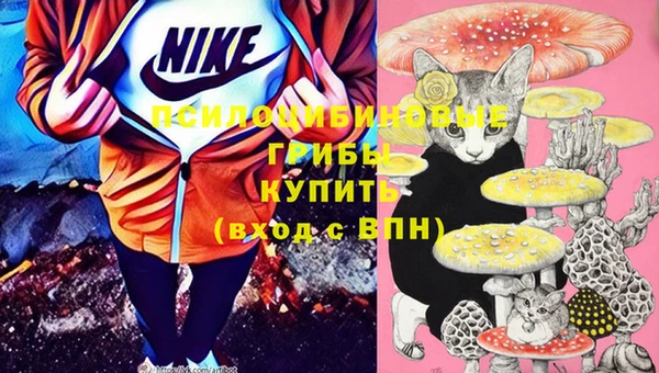 герыч Алексин