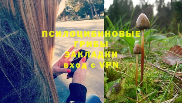 гашик Алзамай