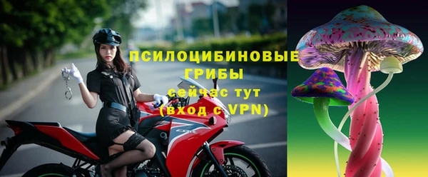 герыч Алексин